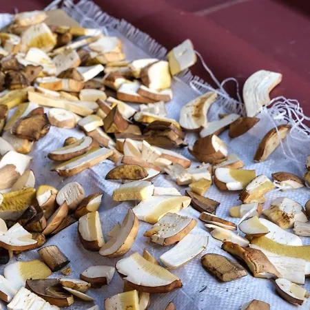 Gasthof Yankovsky Dvir *